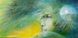 Le Conseil – Voile, Dimensions et autres Descripteurs